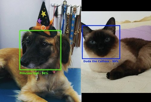 Princess Ugli adn cattess Duda
